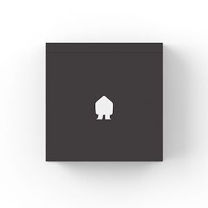 EV Wall Noire 22 kW compatible panneaux solaires